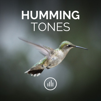 myNoise - Humming Tones