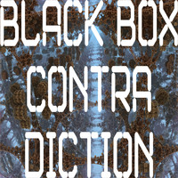 Black Box - Contradiction