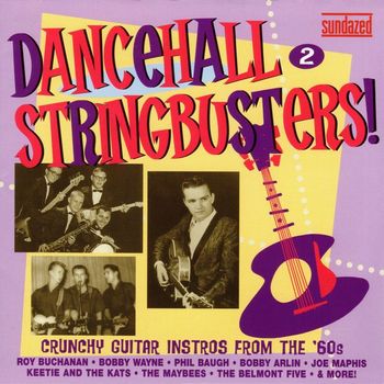 Various Artists - Dancehall Stringbusters! V2