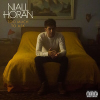Niall Horan - Too Much To Ask (Explicit)