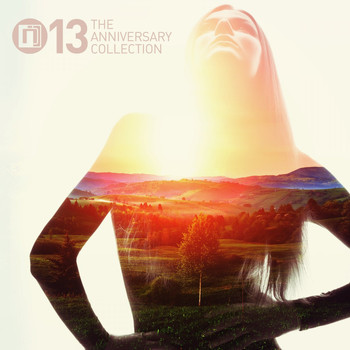 Various Artists - Intrigue 13: The Anniversary Collection