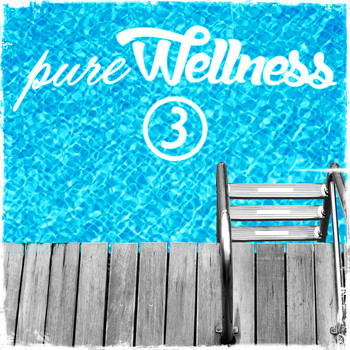 Various Artists - Pure Wellness 3