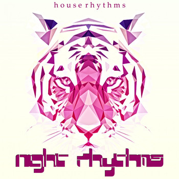 Various Artists - Night Rhythms (House Rhythms)
