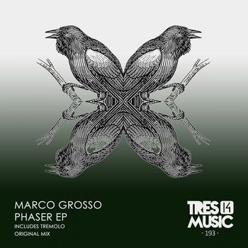 Marco Grosso - Phaser