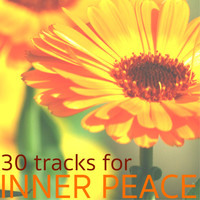 Peaceful Music - 30 Tracks for Inner Peace - Deep Serenity Subliminal Sounds for Peaceful Meditation