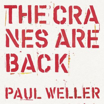 Paul Weller - The Cranes are Back (Edit)
