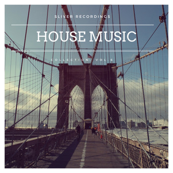 Various Artists - SLiVER Recordings - House Music Collection, Vol.6