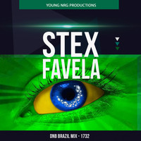 Stex - Favela (DNB Brazil Mix)