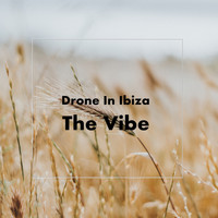 Drone In Ibiza - The Vibe