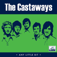The Castaways - Any Little Bit