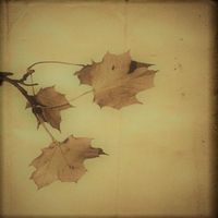 Christopher Jones - A Heart-Worn Dream / American Naturalist