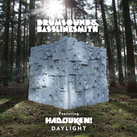Drumsound & Bassline Smith feat. Hadouken! - Daylight