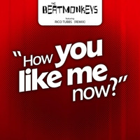The Beatmonkeys - How You Like Me Now?