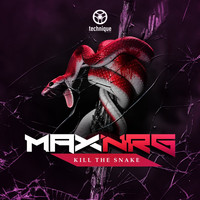 MaxNRG - Kill the Snake