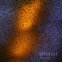 Spygeist - 7 Rooms