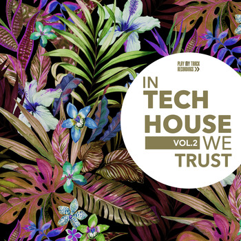 Various Artists - In Tech House We Trust, Vol. 2