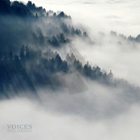 Melokind - Voices (Explicit)