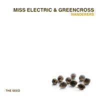 Miss Electric & Greencross - Wanderers