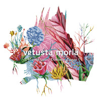 Vetusta Morla - Mismo Sitio, Distinto Lugar