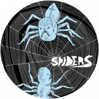Spiders - Spiders