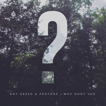 RoyGreen & Protone - Why Don't You - EP