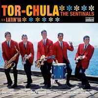 The Sentinals - Torchula / Latinia