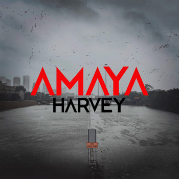 Amaya - Harvey