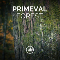 myNoise - Primeval Forest