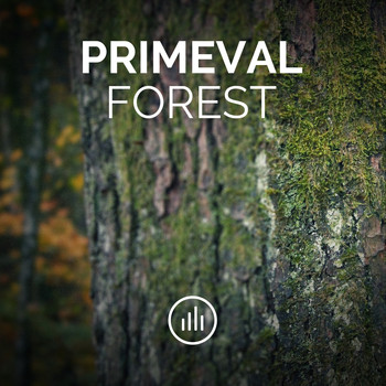 myNoise - Primeval Forest