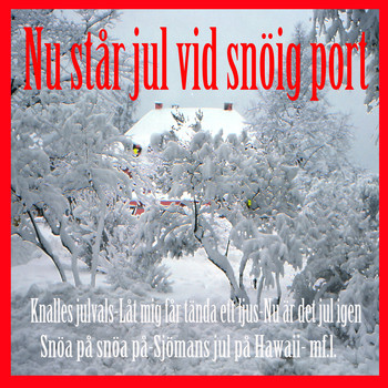 Various Artists - Nu står jul vid snöig port