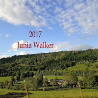 Junia Walker - Evening Time (2017 Edit)