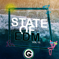 Rich Knochel - State Of EDM, Vol. 13.