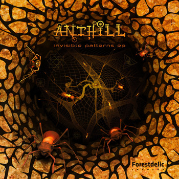 Anthill - Invisible Patterns