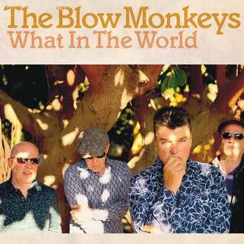 The Blow Monkeys - What In The World