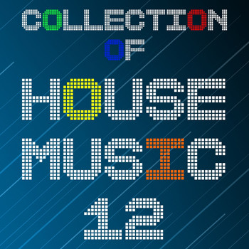Various Artists - Collection of House Music, Vol. 12