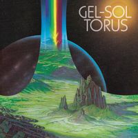 Gel-Sol - Torus