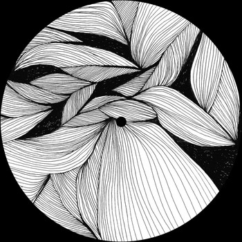 John Spring - Benzo