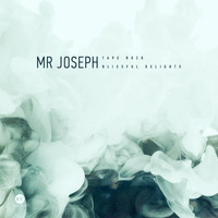 Mr Joseph - Tape Bang / Blissful Delights