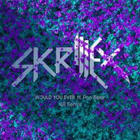 Skrillex & Poo Bear - Would You Ever (4B Remix)