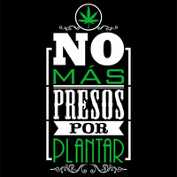 Pablo Silvera - No Mas Presos Por Plantar (feat. Pablo Silvera & House of Riddim)
