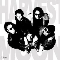 Harvest Moon - Live