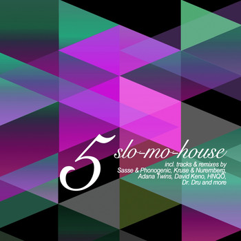 Various Artists - Slo-Mo-House, Vol. 5