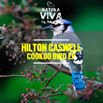 Hilton Caswell - Cookoo Bird