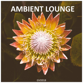 Various Artists - Ambient Lounge