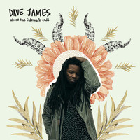Dave James - Where the Sidewalk Ends