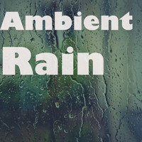 Meditation Music Zone, Meditation Relaxation Club, White Noise Research - Ambient Meditation Music & White Noise Rain Sounds