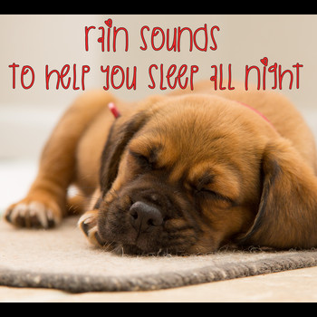 Rain Sounds, Nature Sounds Nature Music, Sleep Sounds of Nature - 25 Rain Sleep Sounds for 8 Hours Sleep - Loopable Sounds for Sleep
