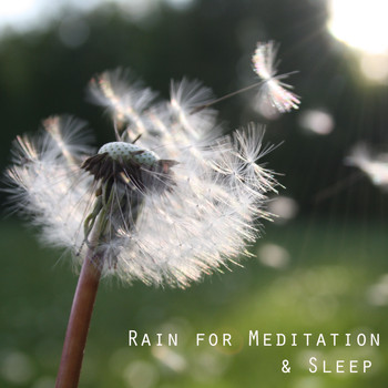 Sleep Waves, Deep Sleep Meditation, Sleep Baby White Noise - 15 Rain Sounds to Help You Sleep. Meditate in the Rain. Relaxing Rain Sounds