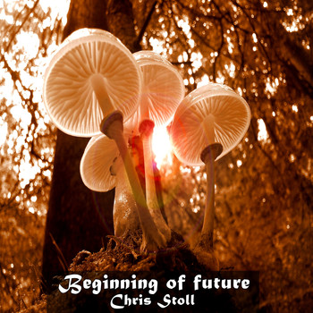 Chris Stoll - Beginning of Future