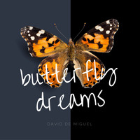 David de Miguel - Butterfly Dreams